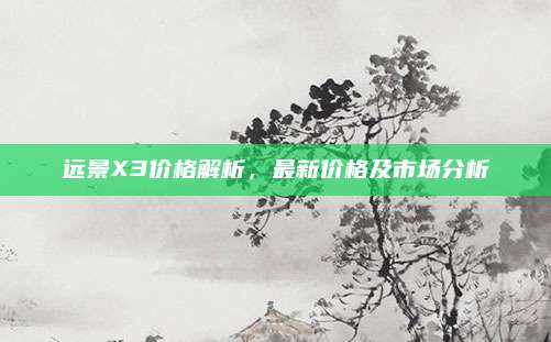 远景X3价格解析,最新价格及市场分析