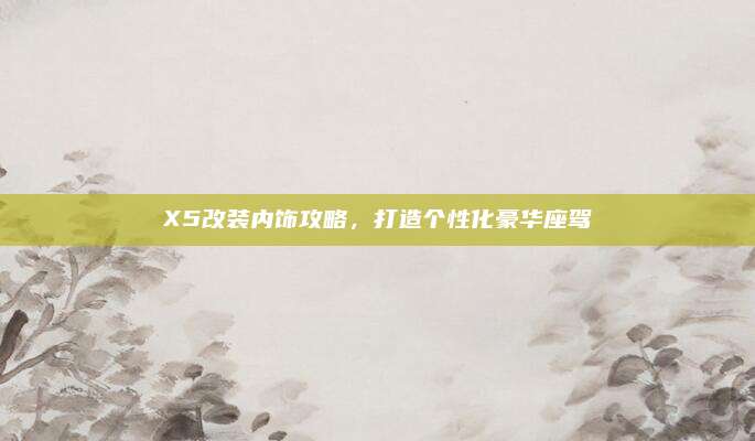 X5改装内饰攻略,打造个性化豪华座驾