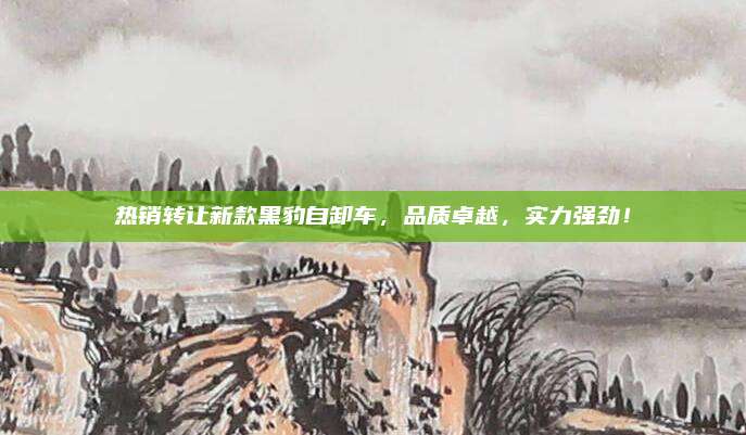 热销转让新款黑豹自卸车,品质卓越,实力强劲!