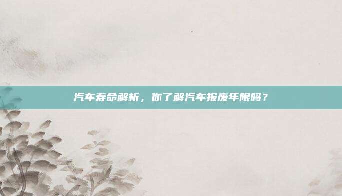 汽车寿命解析,你了解汽车报废年限吗?