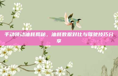 手动领动油耗揭秘,油耗数据对比与驾驶技巧分享