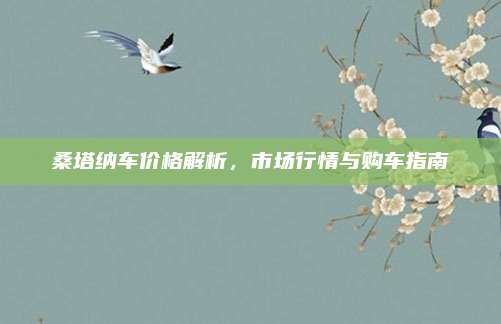 桑塔纳车价格解析,市场行情与购车指南