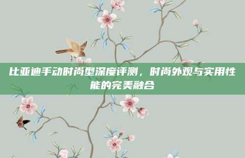 比亚迪手动时尚型深度评测,时尚外观与实用性能的完美融合