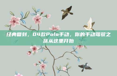 经典复刻,04款Polo手动,你的手动驾驭之旅从这里开始
