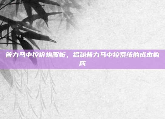 普力马中控价格解析,揭秘普力马中控系统的成本构成