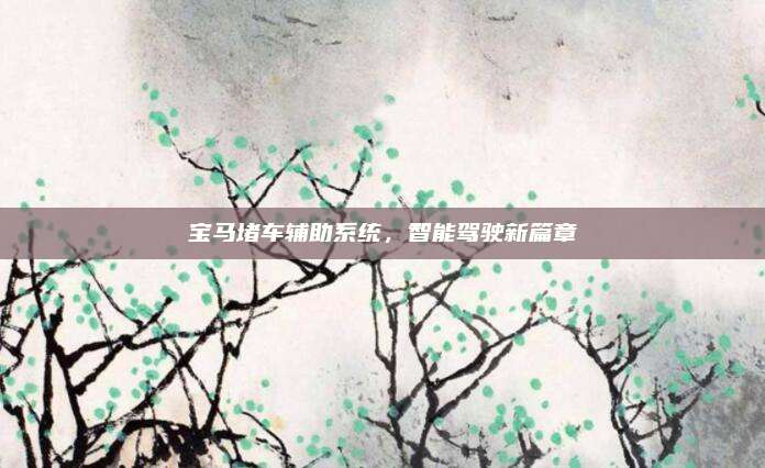 宝马堵车辅助系统,智能驾驶新篇章