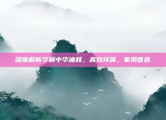深度解析华晨中华油耗,高效环保,家用首选