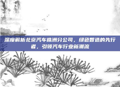 深度解析北京汽车株洲分公司,绿色智造的先行者,引领汽车行业新潮流