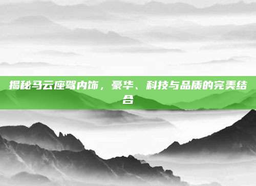 揭秘马云座驾内饰,豪华、科技与品质的完美结合