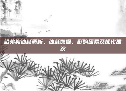 哈弗狗油耗解析,油耗数据、影响因素及优化建议