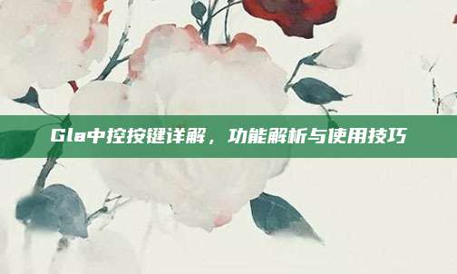 Gla中控按键详解,功能解析与使用技巧