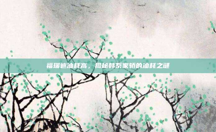 福瑞迪油耗高,揭秘韩系家轿的油耗之谜