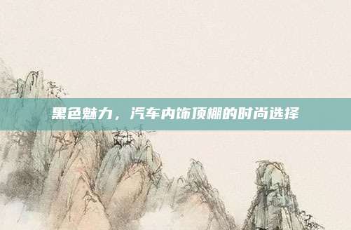 黑色魅力,汽车内饰顶棚的时尚选择