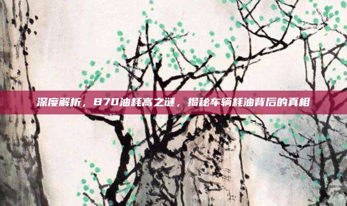 深度解析,B70油耗高之谜,揭秘车辆耗油背后的真相
