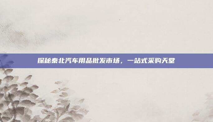 探秘秦北汽车用品批发市场,一站式采购天堂
