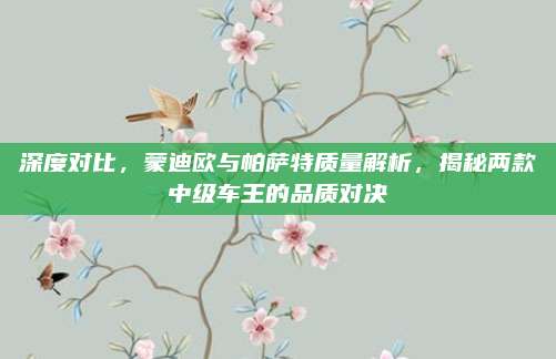 深度对比,蒙迪欧与帕萨特质量解析,揭秘两款中级车王的品质对决
