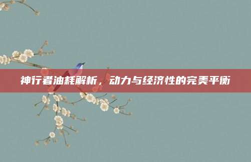 神行者油耗解析,动力与经济性的完美平衡