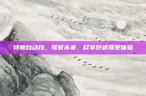 特顺自动挡,驾驭未来,尽享舒适驾驶体验