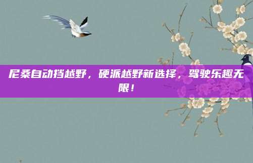 尼桑自动挡越野，硬派越野新选择，驾驶乐趣无限！