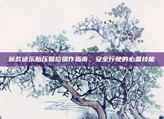 新款途乐胎压复位操作指南,安全行驶的必备技能