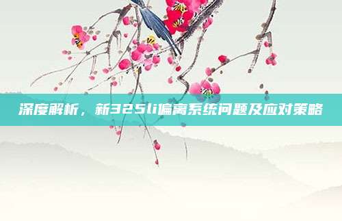 深度解析,新325li偏离系统问题及应对策略