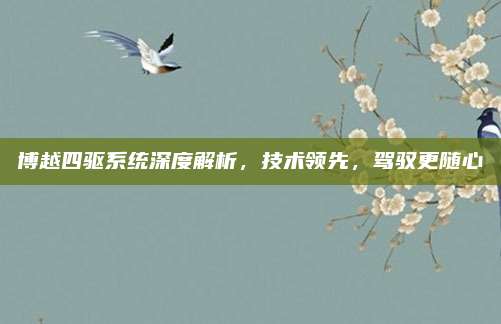博越四驱系统深度解析,技术领先,驾驭更随心