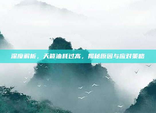 深度解析,天籁油耗过高,揭秘原因与应对策略