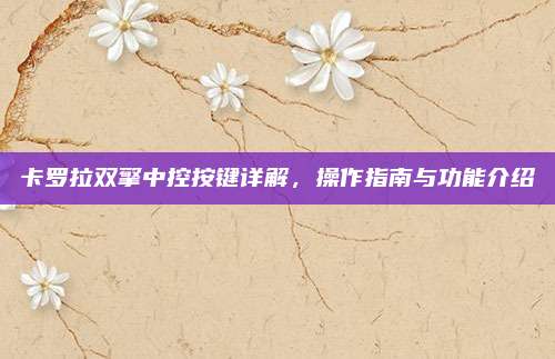 卡罗拉双擎中控按键详解,操作指南与功能介绍