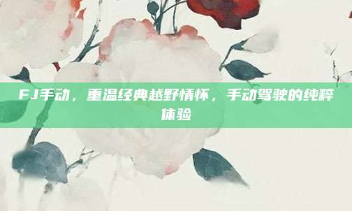 FJ手动,重温经典越野情怀,手动驾驶的纯粹体验