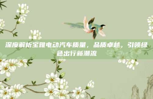 深度解析宝雅电动汽车质量,品质卓越,引领绿色出行新潮流