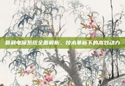 夏利电喷系统全面解析,技术革新下的高效动力