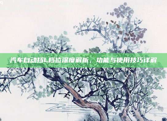 汽车自动挡L档位深度解析,功能与使用技巧详解