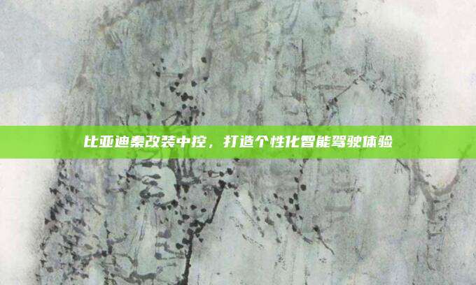 比亚迪秦改装中控,打造个性化智能驾驶体验