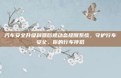 汽车安全升级利器后视动态提醒系统,守护行车安全,你的行车伴侣