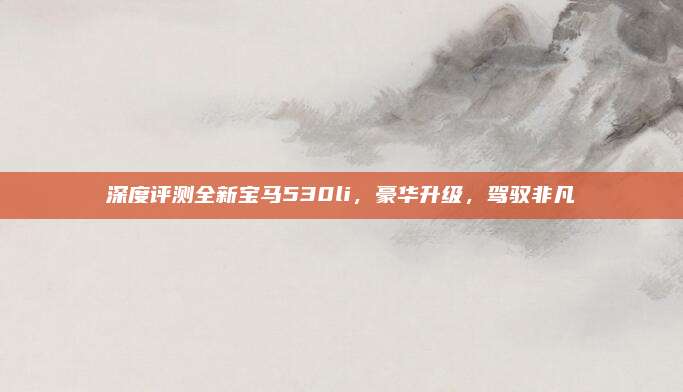 深度评测全新宝马530li,豪华升级,驾驭非凡