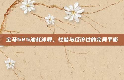 宝马525油耗详解,性能与经济性的完美平衡