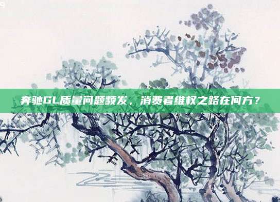 奔驰GL质量问题频发,消费者维权之路在何方?