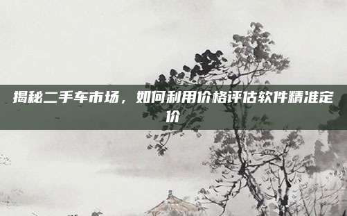 揭秘二手车市场,如何利用价格评估软件精准定价