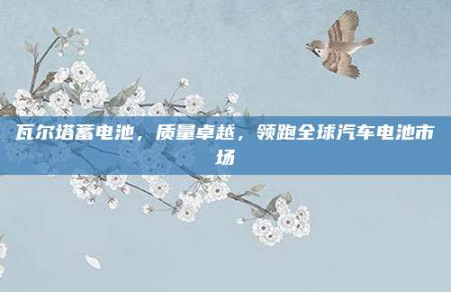 瓦尔塔蓄电池,质量卓越,领跑全球汽车电池市场