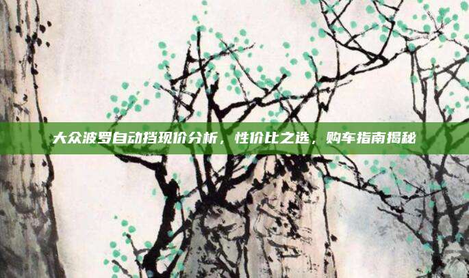 大众波罗自动挡现价分析,性价比之选,购车指南揭秘