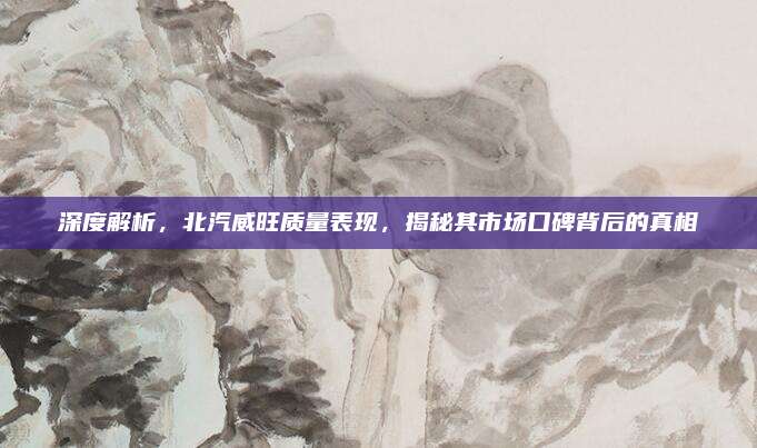 深度解析,北汽威旺质量表现,揭秘其市场口碑背后的真相