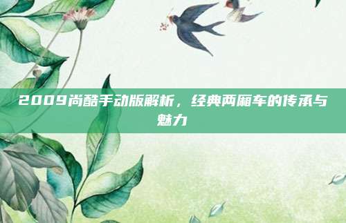 2009尚酷手动版解析,经典两厢车的传承与魅力