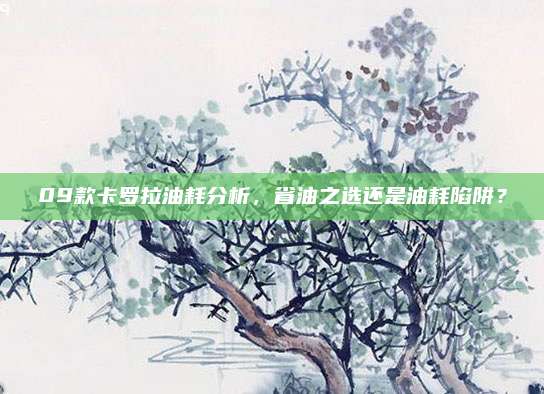 09款卡罗拉油耗分析,省油之选还是油耗陷阱?