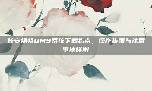 长安福特DMS系统下载指南,操作步骤与注意事项详解