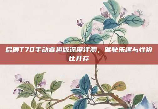 启辰T70手动睿趣版深度评测,驾驶乐趣与性价比并存