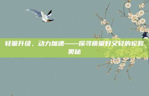 轻量升级,动力加速——探寻质量好又轻的轮毂奥秘
