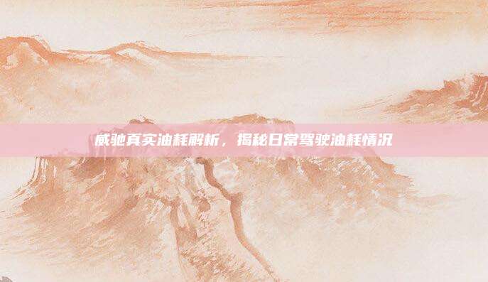 威驰真实油耗解析,揭秘日常驾驶油耗情况