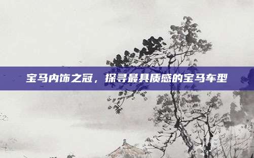 宝马内饰之冠,探寻最具质感的宝马车型