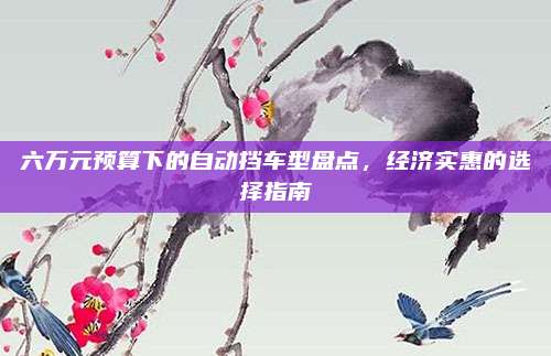 六万元预算下的自动挡车型盘点,经济实惠的选择指南