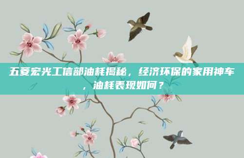 五菱宏光工信部油耗揭秘,经济环保的家用神车,油耗表现如何?